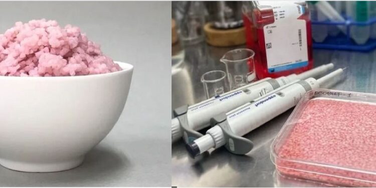 სამხრეთკორეელმა მეცნიერებმა ახალი ტიპის საკვები შექმნეს, რომელიც ხორცისა და ბრინჯის ჰიბრიდს წარმოადგენს