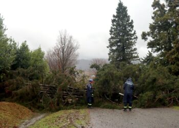 გურიის ახალი ამბები – 07.02.2024