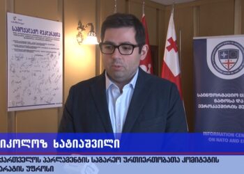 „საქართველო – აშშ-ის ურთიერთობები და ევროატლანტიკური ინტეგრაცია“ – საინფორმაციო შეხვედრა ოზურგეთში