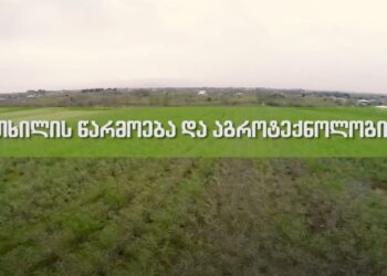 თხილის წარმოების აგროტექნოლოგია