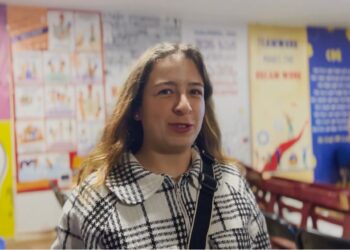 ვიდეო – “ქართველი და ევროპელი ქალები” – ოზურგეთში, ევროკლუბში ტრენინგი გაიმართა