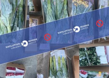 საბაჟოზე არადეკლარირებული 10 095 ცალი, სხვადასხვა ჯიშის მცენარე აღმოაჩინეს