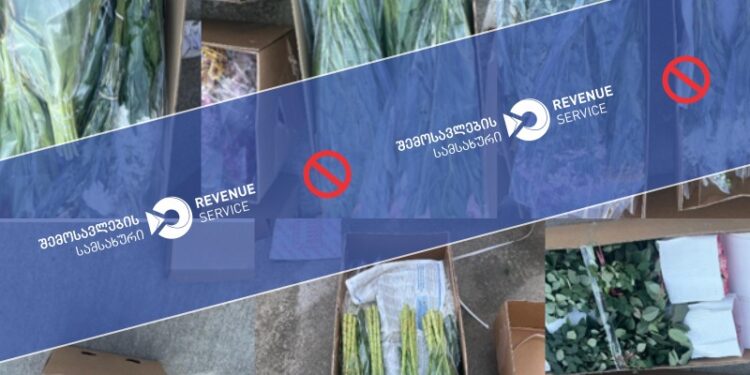 საბაჟოზე არადეკლარირებული 10 095 ცალი, სხვადასხვა ჯიშის მცენარე აღმოაჩინეს