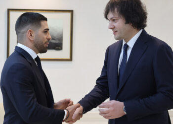 პრემიერ-მინისტრი ირაკლი კობახიძე UFC-ის ჩემპიონს, ილია თოფურიას შეხვდა