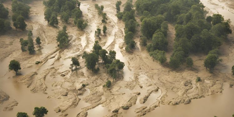 გურია და კლიმატის ცვლილებები – რა რისკების წინაშე ვდგავართ