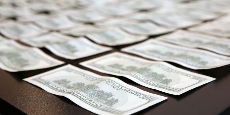 დიდი ოდენობით ყალბი ვალუტის შენახვისა და გასაღების ფაქტზე ეგვიპტისა და ერაყის 2 მოქალაქე დააკავეს