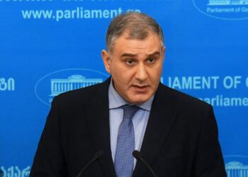 გაგრძელდება თუ არა სოცდაუცველთა დასაქმების პროგრამა – ჯანდაცვის ახალი მინისტრის განცხადება