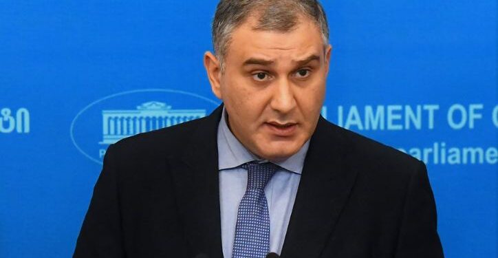 გაგრძელდება თუ არა სოცდაუცველთა დასაქმების პროგრამა – ჯანდაცვის ახალი მინისტრის განცხადება