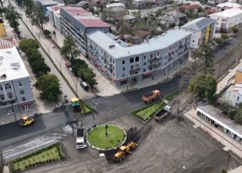 გურიის ახალი ამბები – 20.03.2024