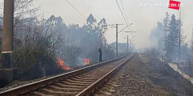 ქობულეთის მუნიციპალიტეტში ხანძარია – ცეცხლი რკინიგზას მიუახლოვდა