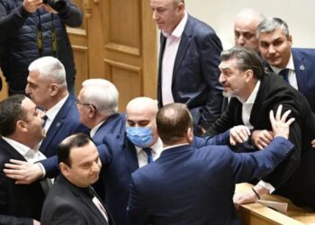 „უნდა გაგხიოს ცემით კაცმა, შე არაკაცო..” – დაპირისპირება პარლამენტში ყაველაშვილსა და ვაშაძეს შორის