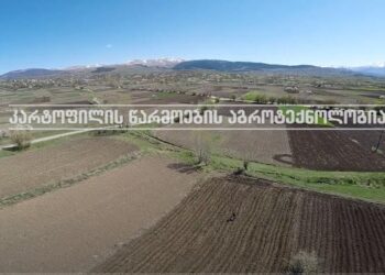 კარტოფილის წარმოების აგროტექნოლოგია