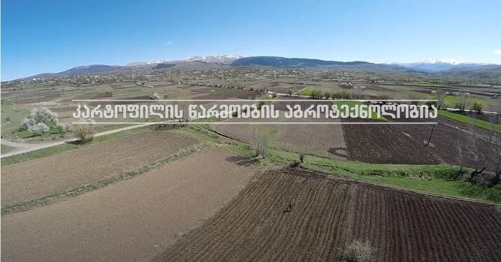 კარტოფილის წარმოების აგროტექნოლოგია