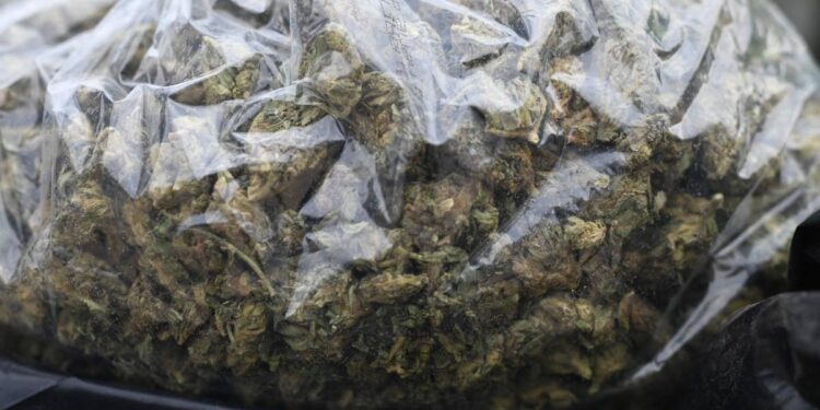 საფრანგეთში ერთ-ერთი ქალაქის მერის სახლში, 70 კილოგრამი კანაბისი აღმოაჩინეს