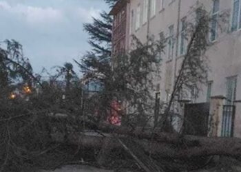 გურიის ახალი ამბები – 04.04.2024