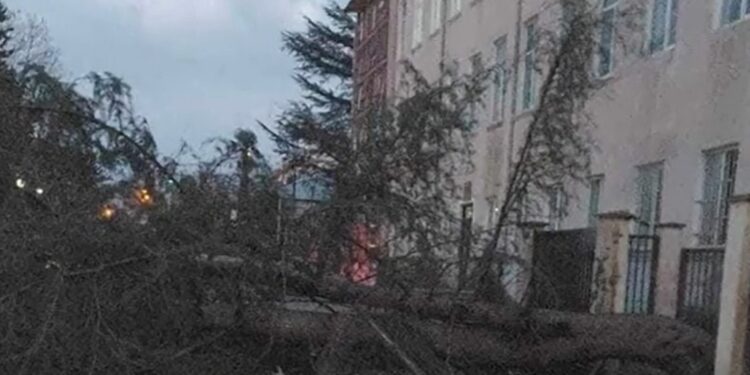 გურიის ახალი ამბები – 04.04.2024