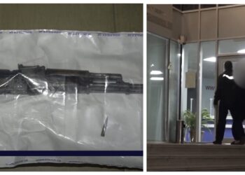 ვიდეო – გურიაში პოლიციამ უკანონო ცეცხლსასროლი იარაღები და საბრძოლო მასალა ამოიღო – დაკავებულია 2 პირი