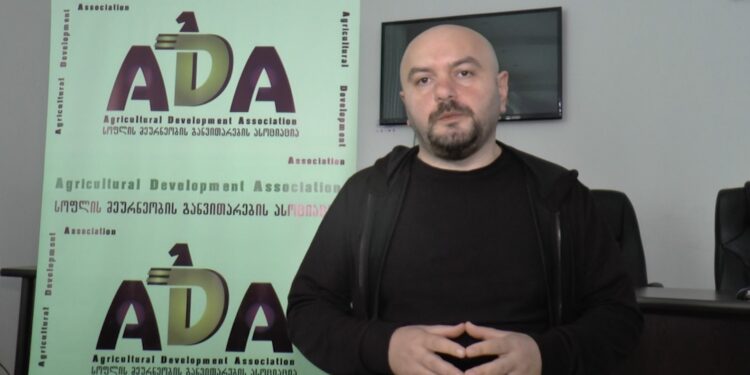 ინოვაციებისა და ცვლილებების ინსტიტუტის ტრენინგი ლანჩხუთში მცხოვრები ქალებისთვის