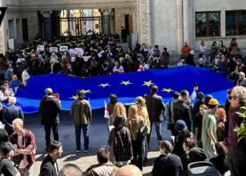 პარლამენტის უკანა შესასვლელთან, საპროტესტო აქციაზე ევროკავშირის დროშა გაშალეს