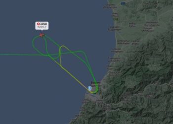 სტამბოლი-ბათუმის თვითმფრინავი ბათუმის აეროპორტში ვერ ჯდება