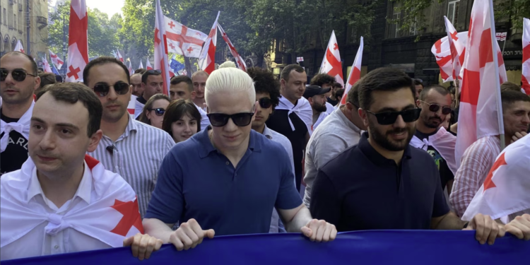 „ქართული ოცნების“ მხარდამჭერთა მსვლელობაში ცოტნე ივანიშვილი მონაწილეობს