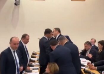 იურიდიული კომიტეტის სხდომა, 7 ოპოზიციონერ დეპუტატს დაატოვებინეს
