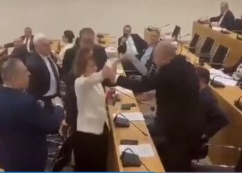 ხატია დეკანოიძემ გურამ მაჭარაშვილს, კომიტეტის სხდომაზე წყლის ბოთლი