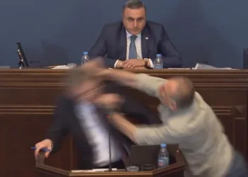 ალეკო ელისაშვილი მამუკა მდინარაძეს ფიზიკურად დაუპირისპირდა