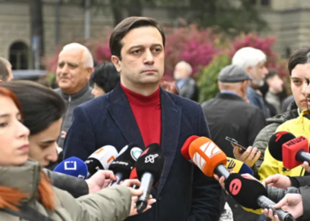 სახალხო დამცველი აქციაზე დაკავებულებს მოინახულებს