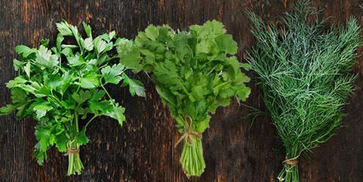 საქართველოში მწვანილის ფასმა მოიმატა – რა ღირს ერთი კილოგრამი