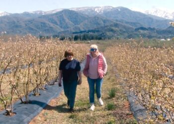 გურიის ახალი ამბები – 02.04.2024