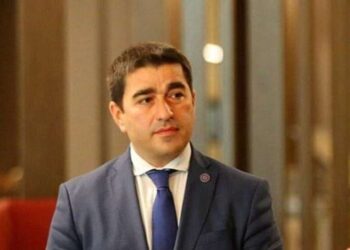 კარგი იქნება თუ ლიტვის საელჩოსგან განმარტებებს მოვისმენთ – შალვა პაპუაშვილი