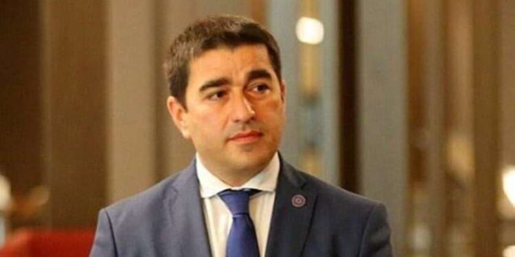 კარგი იქნება თუ ლიტვის საელჩოსგან განმარტებებს მოვისმენთ – შალვა პაპუაშვილი
