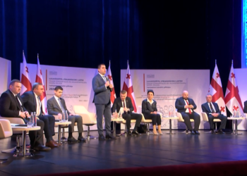 „საქართველოს კონსტიტუციაში ცვლილების შეტანის შესახებ“ კანონპროექტის საჯარო განხილვა ოზურგეთში