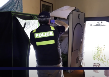 ვიდეო – პოლიციამ საქართველოს მასშტაბით, მათ შორის გურიაში ნარკოდანაშაულისთვის 18 პირი დააკავა