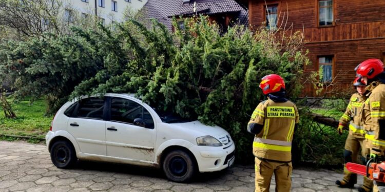 პოლონეთში ძლიერ ქარს 5 ადამიანი ემსხვერპლა