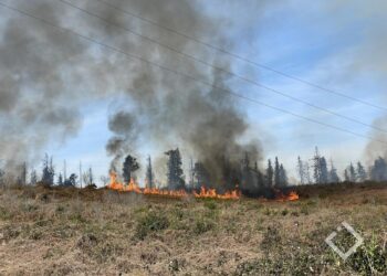 ქობულეთში, სოფელ ოჩხამურში ხანძარია