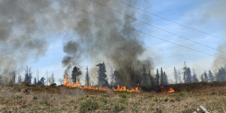ქობულეთში, სოფელ ოჩხამურში ხანძარია