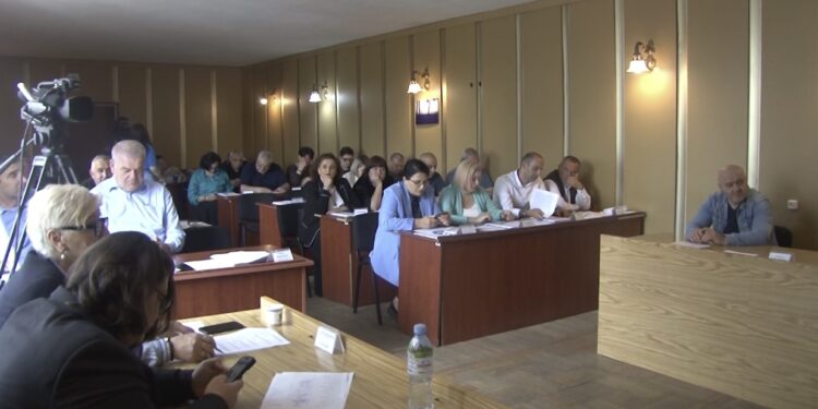 რა საკითხები განიხილეს ოზურგეთის საკრებულოს სხდომაზე