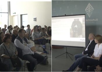 მიუსაფარი ძაღლების პოპულაციის მართვა – შეხვედრა გურიის სამოქალაქო ცენტრის ინიციატივით