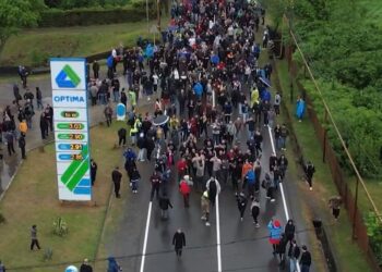 გურიის ახალი ამბები – 08.05.2024