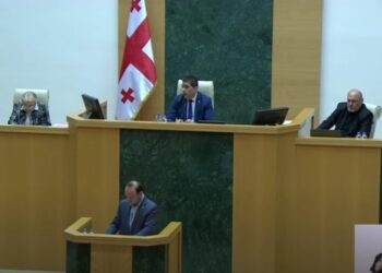 პარლამენტი ე.წ. “რუსული კანონის” განხილვას აგრძელებს – პაპუაშვილი დეპუტატებს გაფრთხილებას აძლევს და მიკროფონს უთიშავს