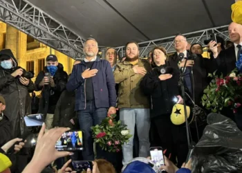 პარლამენტთან აქციაზე ევროკავშირის რამდენიმე წევრი ქვეყნის პარლამენტის საგარეო საქმეთა კომიტეტების თავმჯდომარეები მივიდნენ