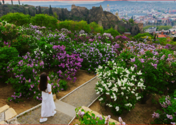საქართველოს ეროვნული ბოტანიკური ბაღი განცხადებას ავრცელებს
