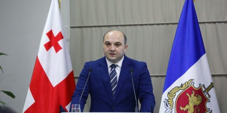 “ხაბეიშვილი შეიჭრა პოლიციის კორდონში, გაუწია მათ წინააღმდეგობა, რა დროსაც მიიღო სხეულის დაზიანება” – შს მინისტრის მოადგილე