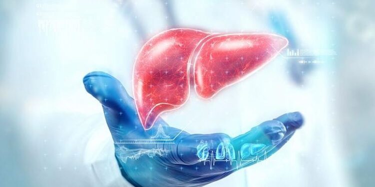 თბილისის მერია, ღვიძლისა და ძვლის ტვინის გადანერგვას სრულად, 100%-ით დააფინანსებს