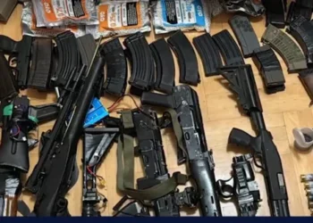 უჩა აბაშიძის დედა – სახლში ამოღებული იარაღი, რასაც შსს გვაჩვენებს, ძირითადად სათამაშო თოფები და პლასტმასის ტყვიებია, რადგან უჩა „სტრაიკბოლს“ თამაშობს