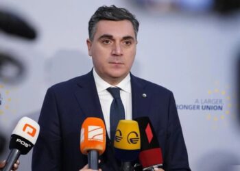 “გოჩა ჯავახიშვილმა შეურაცხყოფა მიაყენა სახელმწიფოს და ყველა ღირეულ დიპლომატს”- ილია დარჩიაშვილი