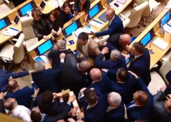 ვიდეო – პარლამენტში ფიზიკური დაპირისპირება იყო