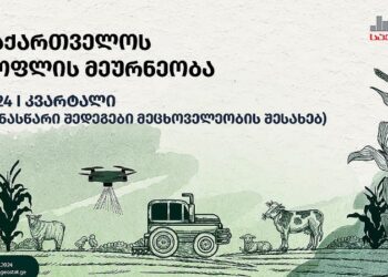 საქართველოში, მსხვილფეხა რქოსანი პირუტყვის სულადობა წინა წელთან შედარებით შემცირდა – საქსტატი